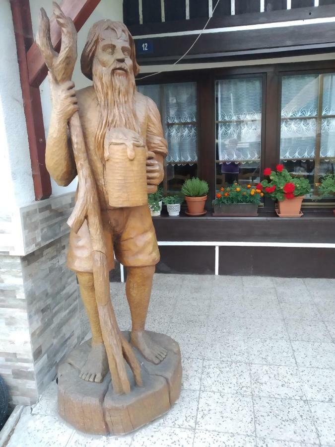 Ubytovani Riegel Svoboda nad Úpou 외부 사진